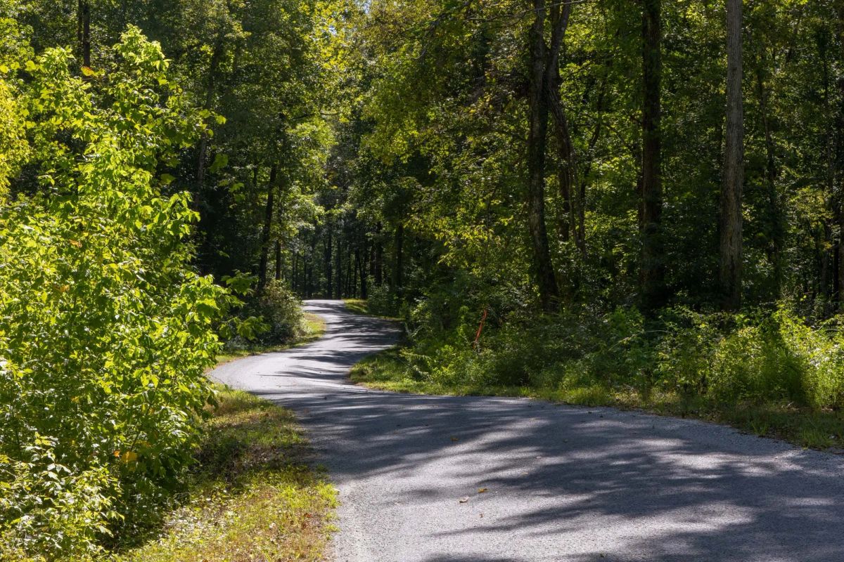 Decorative background for Big White Oak Tract 20 image 11