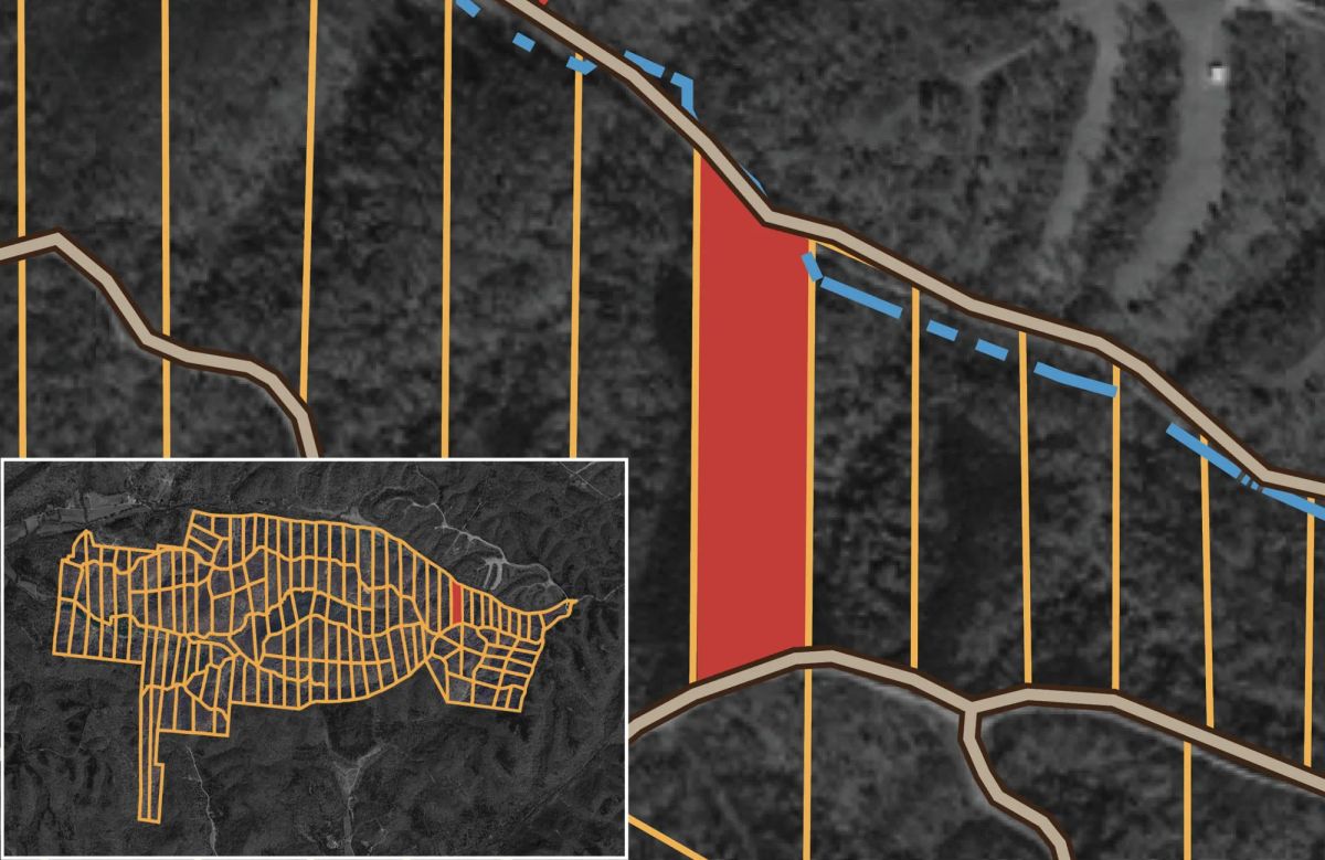 Decorative background for Big White Oak Tract 20 image 13
