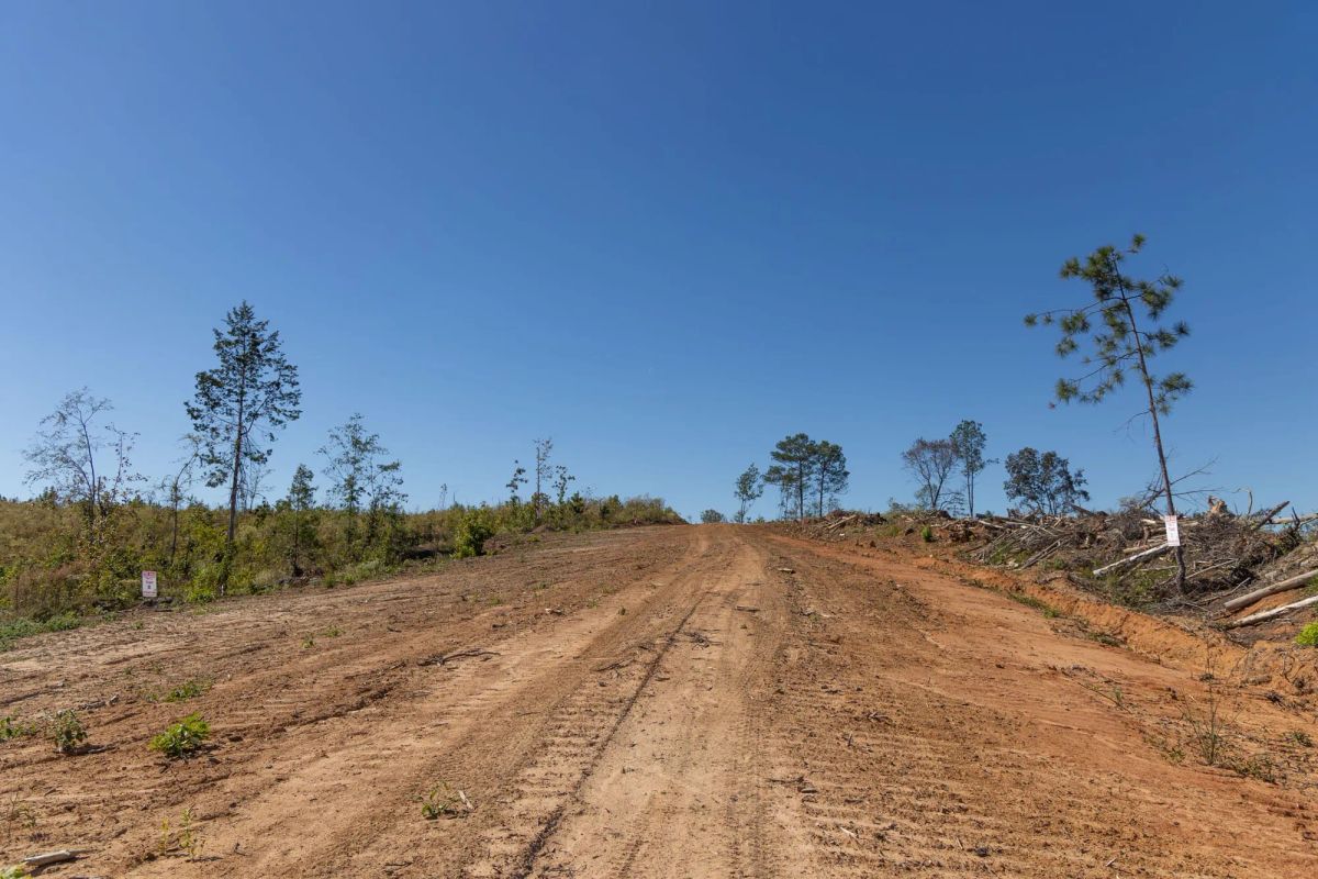 Meyer’s Ridge Tract 27 - Image 2