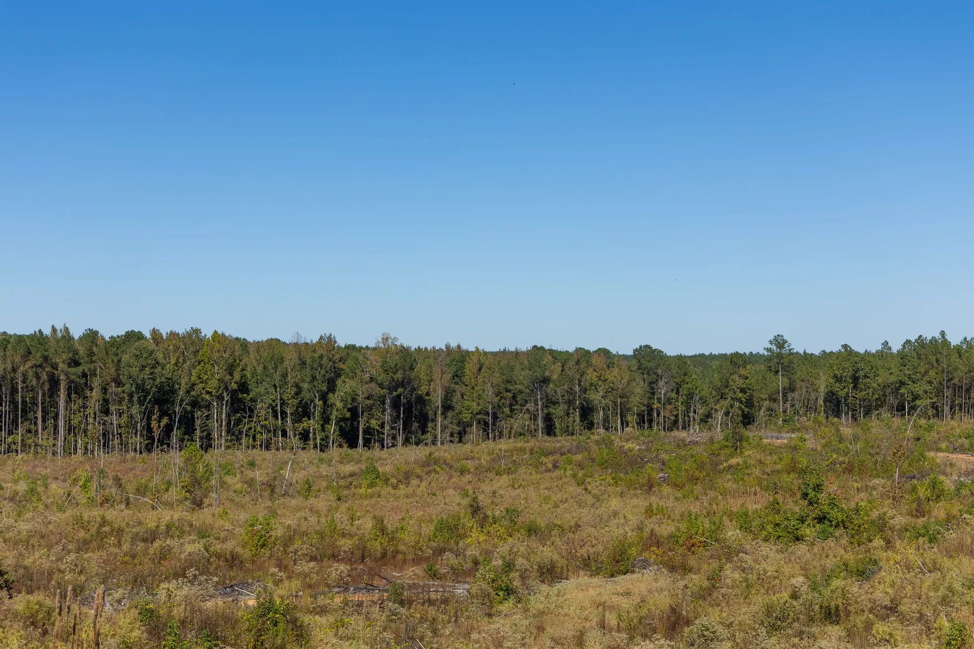 Meyer’s Ridge Tract 27 in Attala County, MS