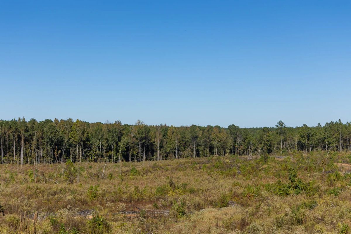 Meyer’s Ridge Tract 27 - Image 3