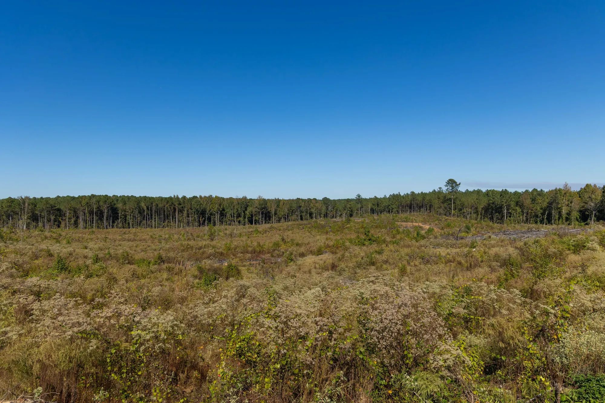 Meyer’s Ridge Tract 27 in Attala County, MS