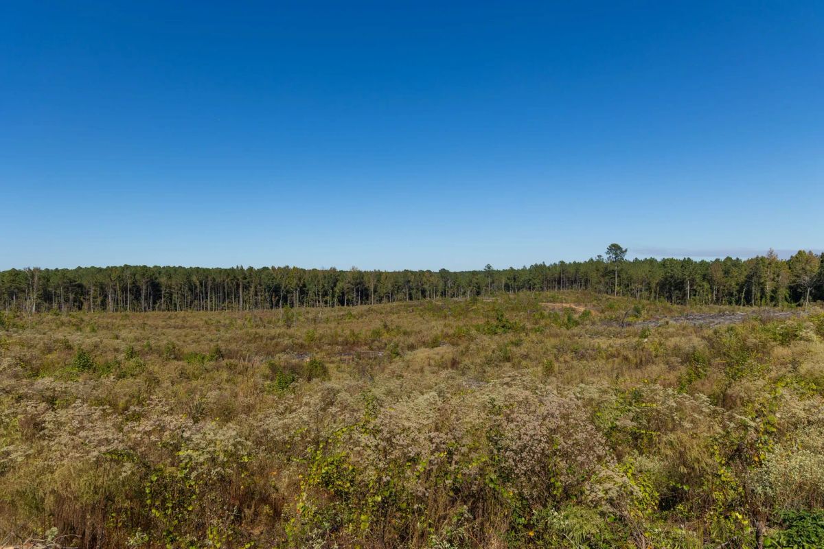 Meyer’s Ridge Tract 27 - Image 4