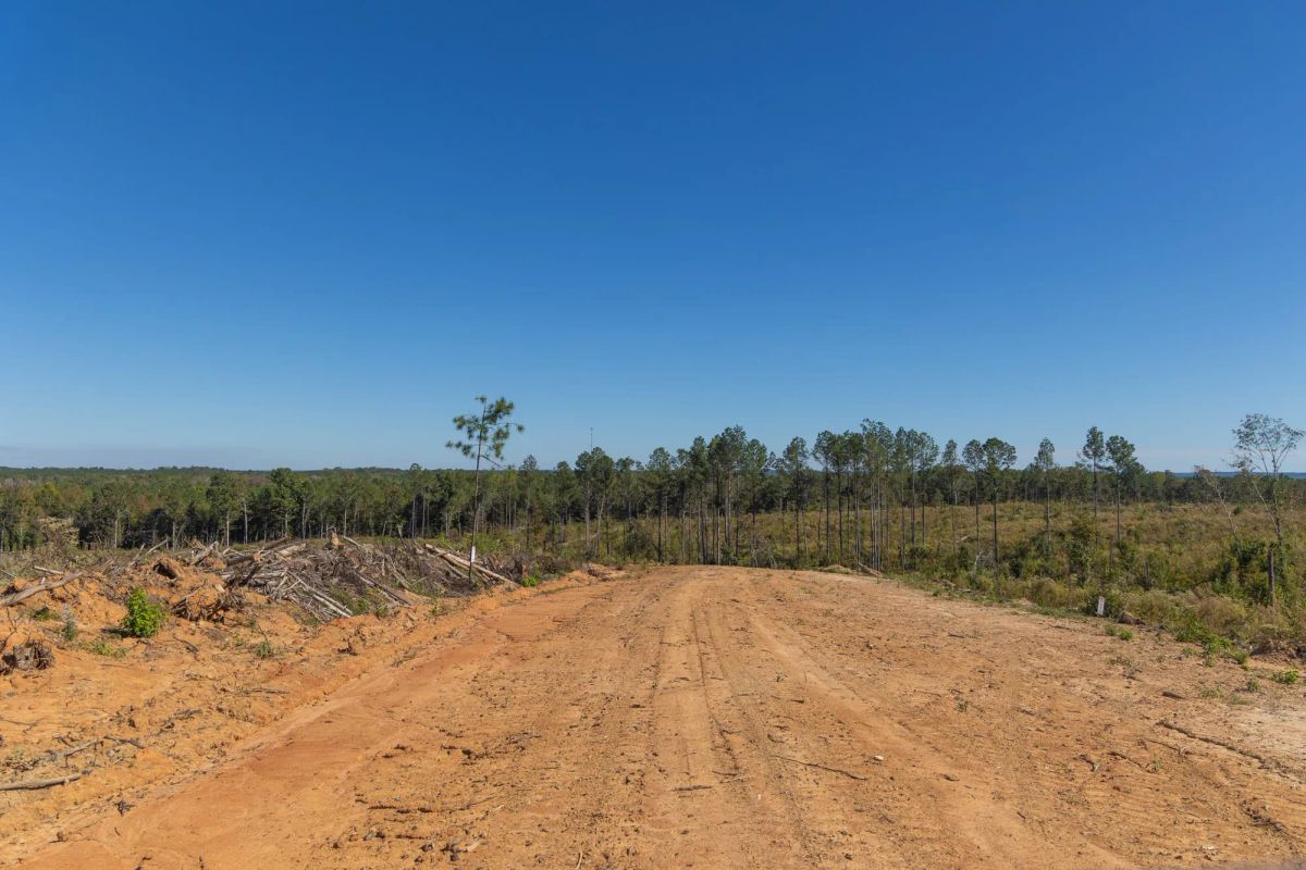 Decorative background for Meyer’s Ridge Tract 27 image 7