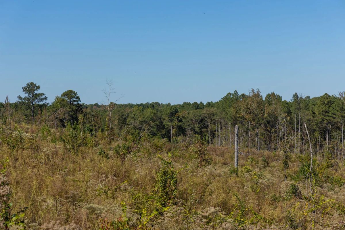 Decorative background for Meyer’s Ridge Tract 27 image 8