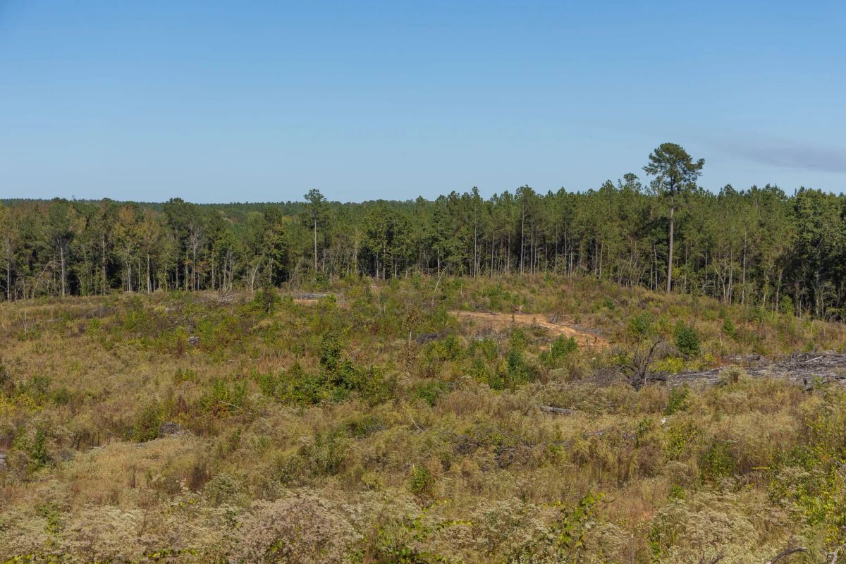Decorative background for Meyer’s Ridge Tract 27 image 9