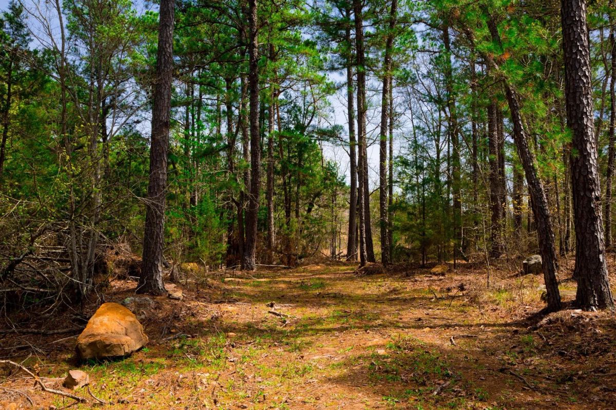 Stone Creek Phase II Tract 210 - Main image