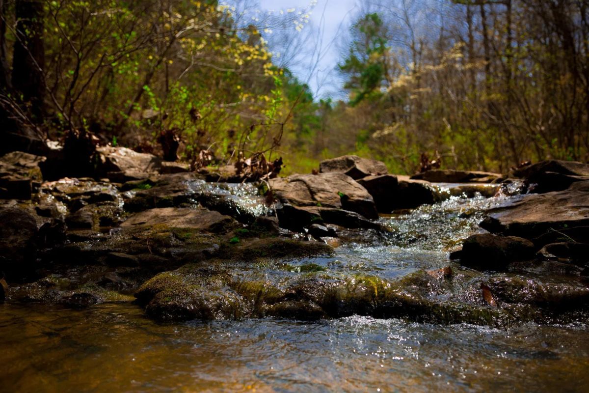 Decorative background for Stone Creek Phase II Tract 210 image 6