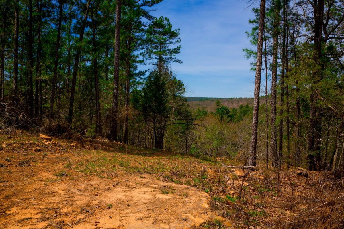 Decorative background for Stone Creek Phase II Tract 210 image 9