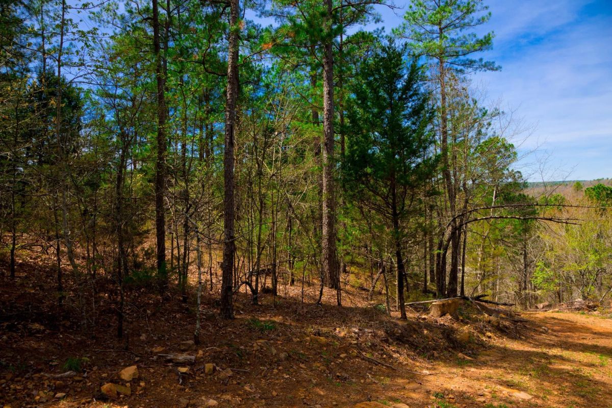 Decorative background for Stone Creek Phase II Tract 210 image 10