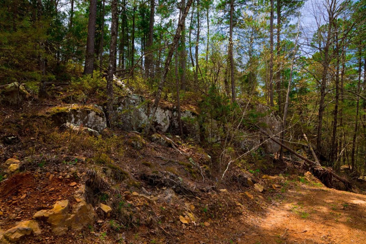 Decorative background for Stone Creek Phase II Tract 210 image 11