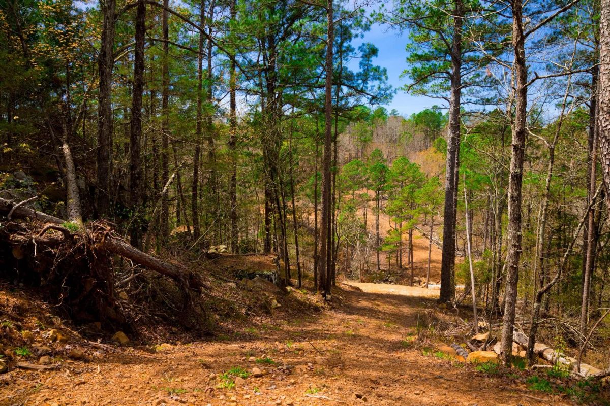 Decorative background for Stone Creek Phase II Tract 210 image 12
