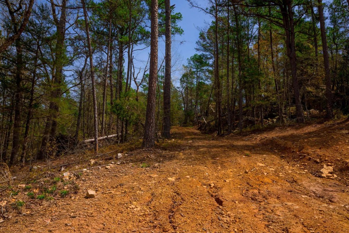 Decorative background for Stone Creek Phase II Tract 210 image 13