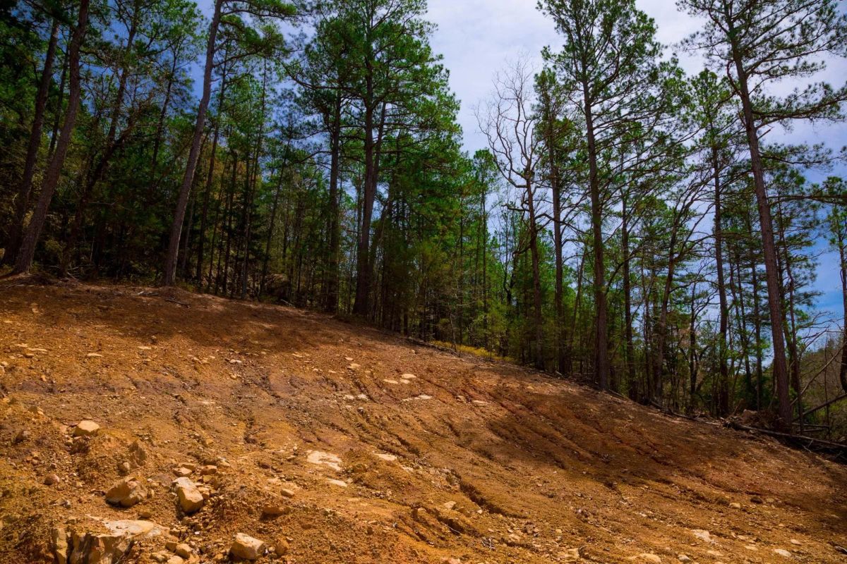 Decorative background for Stone Creek Phase II Tract 210 image 14