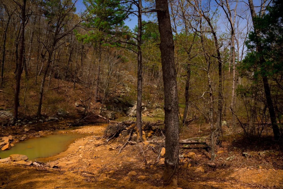 Decorative background for Stone Creek Phase II Tract 210 image 15