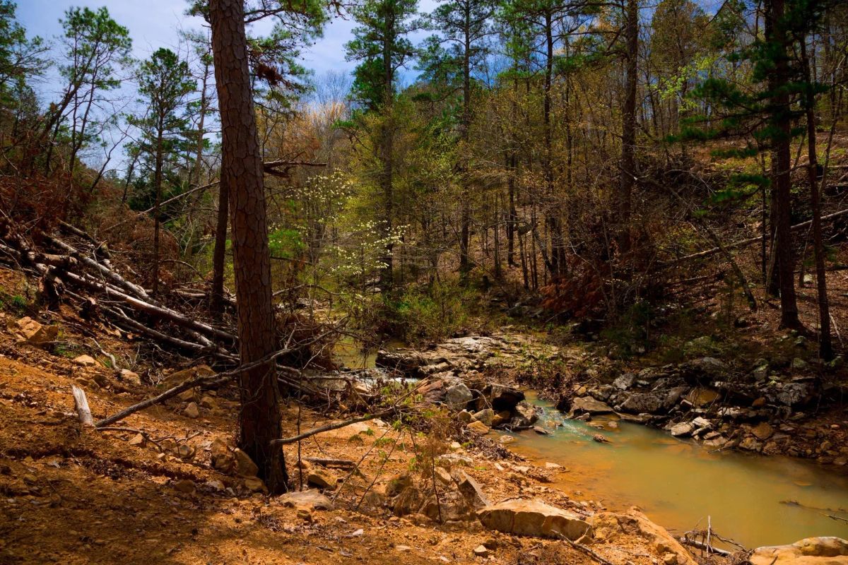 Decorative background for Stone Creek Phase II Tract 210 image 16