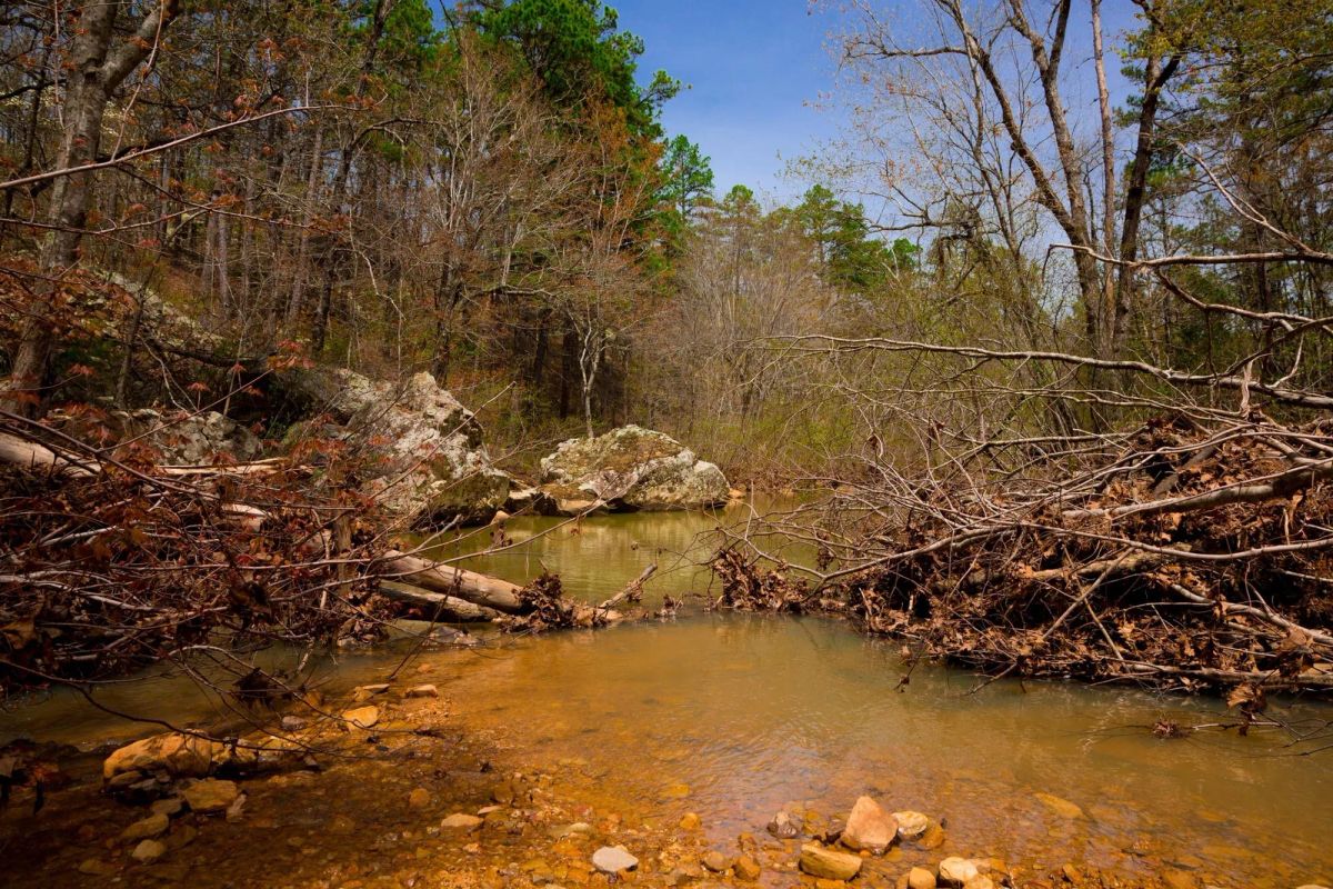Decorative background for Stone Creek Phase II Tract 210 image 17