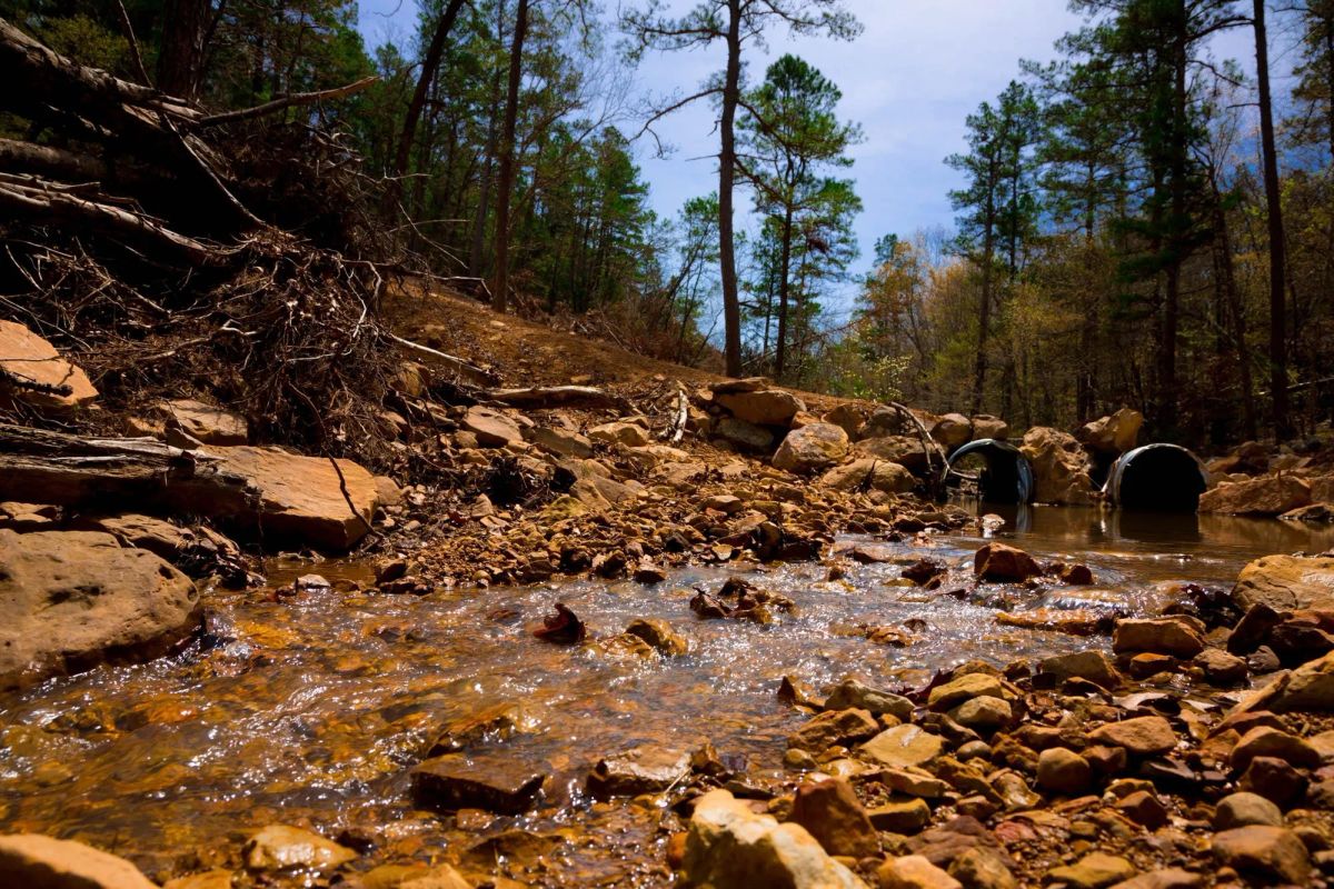 Decorative background for Stone Creek Phase II Tract 210 image 19