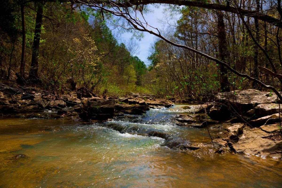 Decorative background for Stone Creek Phase II Tract 210 image 21