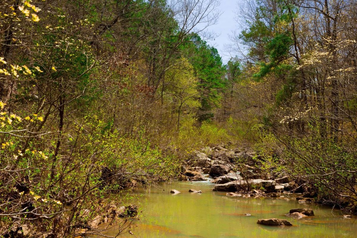 Decorative background for Stone Creek Phase II Tract 210 image 22