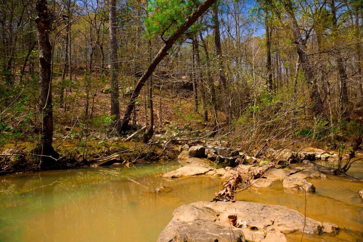 Decorative background for Stone Creek Phase II Tract 210 image 23