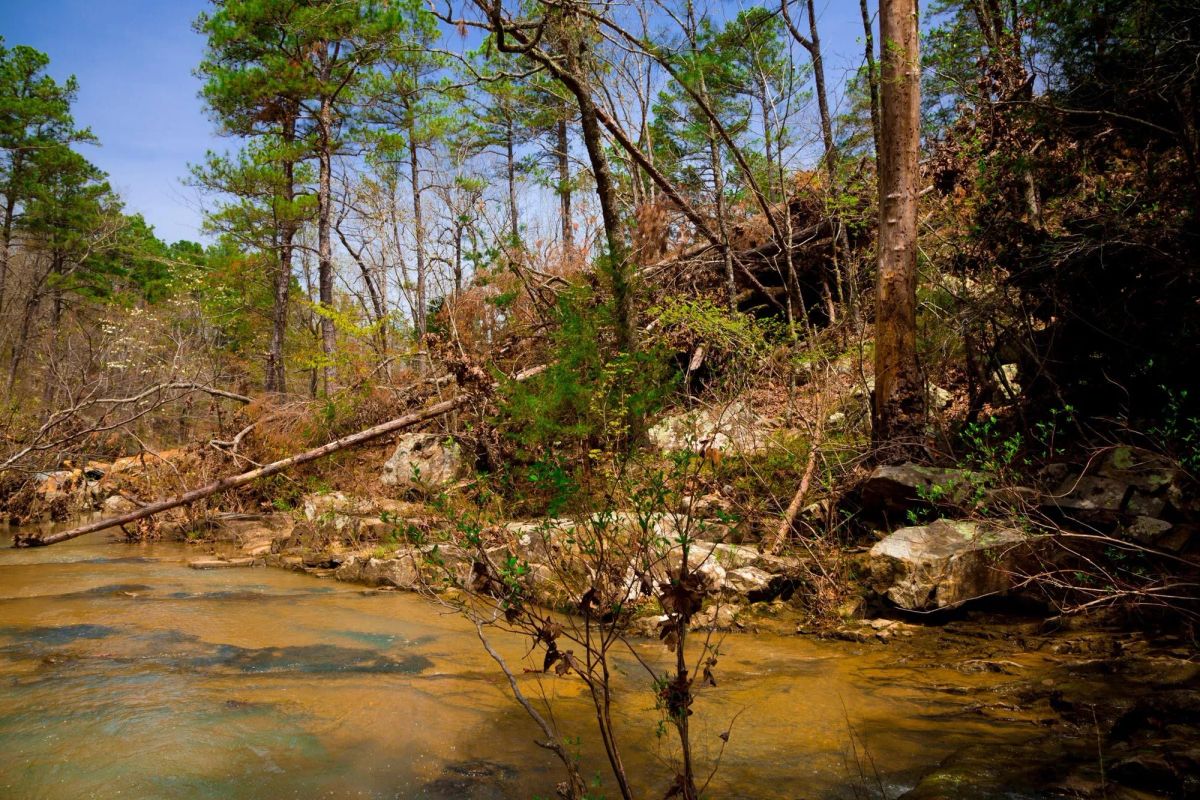 Decorative background for Stone Creek Phase II Tract 210 image 24