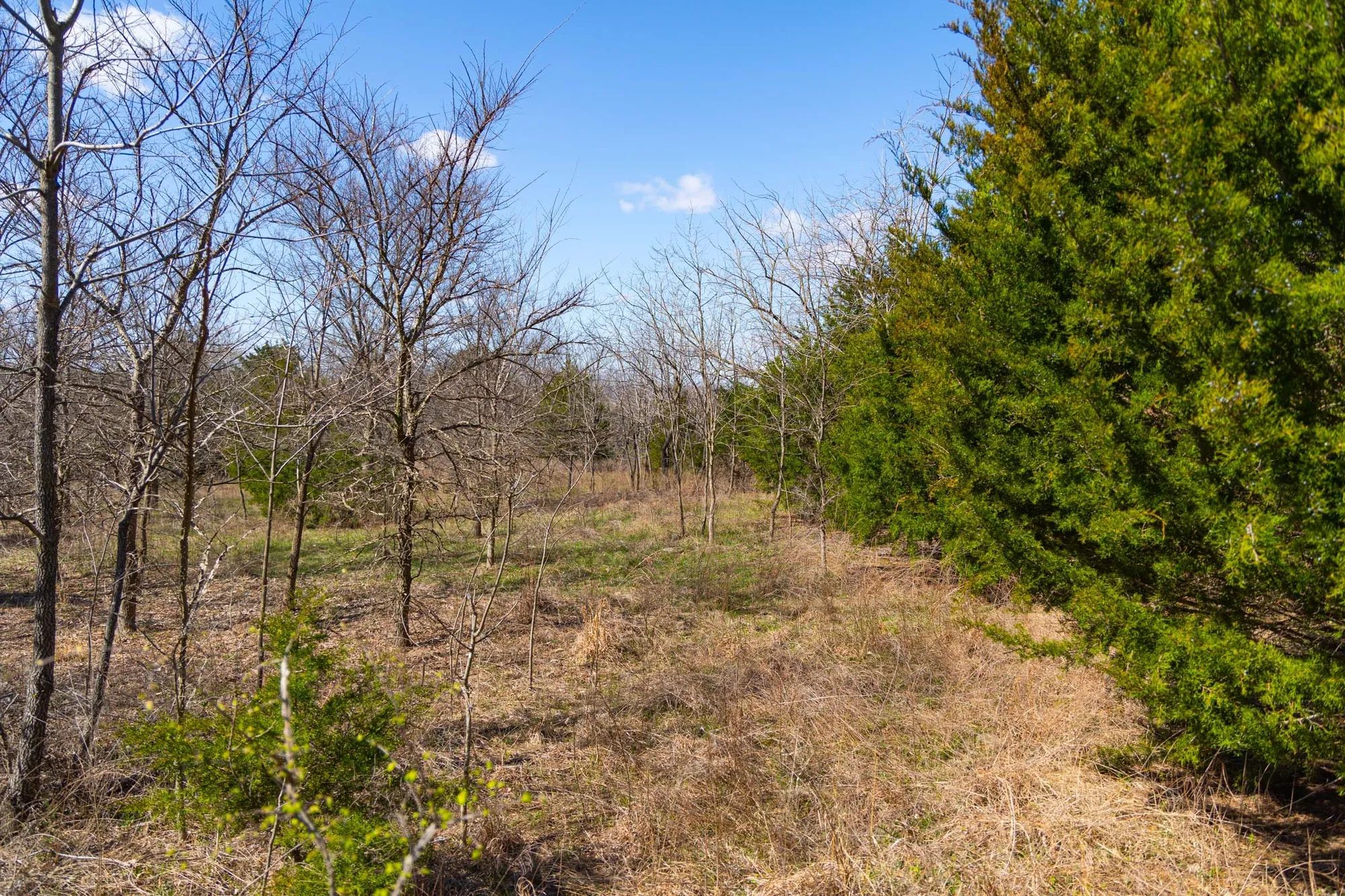 Reserves At Cattail Cove Phase I Tract 28 in Pittsburg County, OK