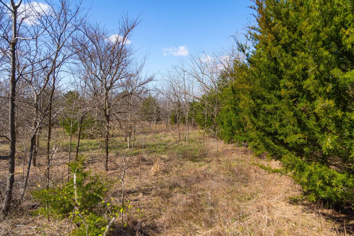 Reserves At Cattail Cove Phase I Tract 28 - Image 4