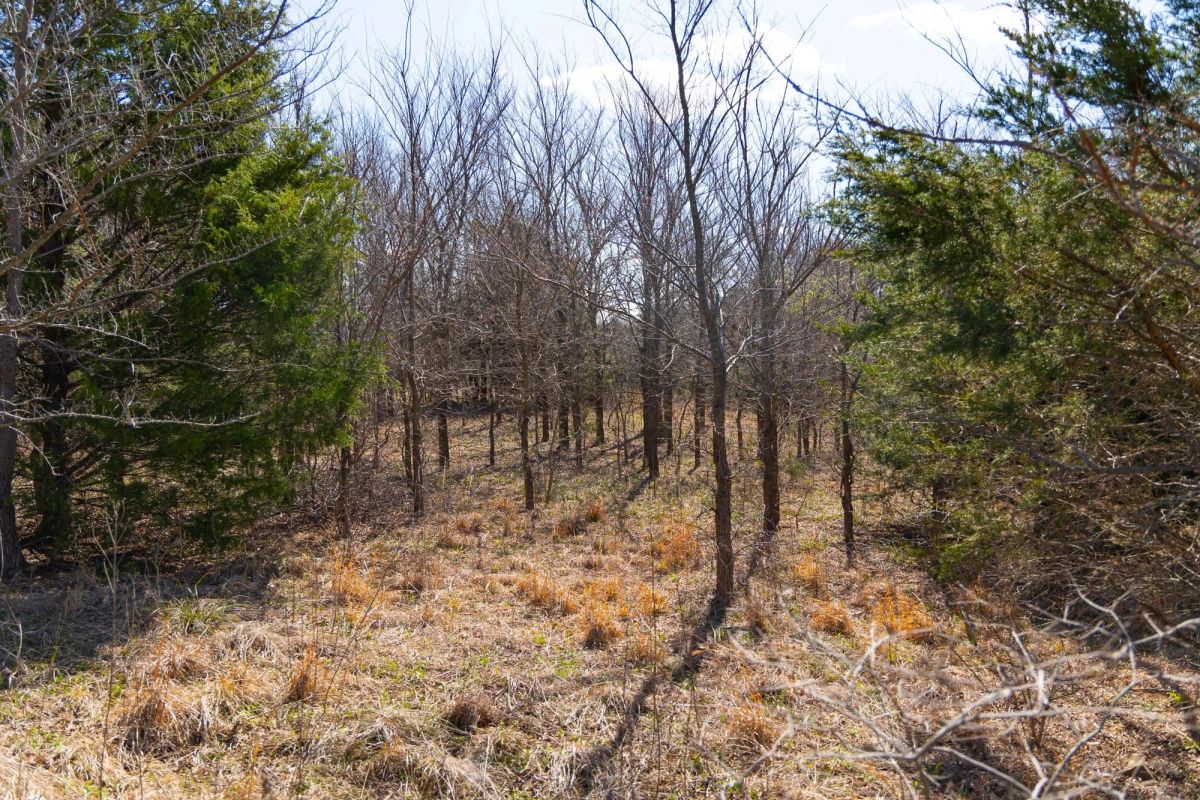 Decorative background for Reserves At Cattail Cove Phase I Tract 28 image 5
