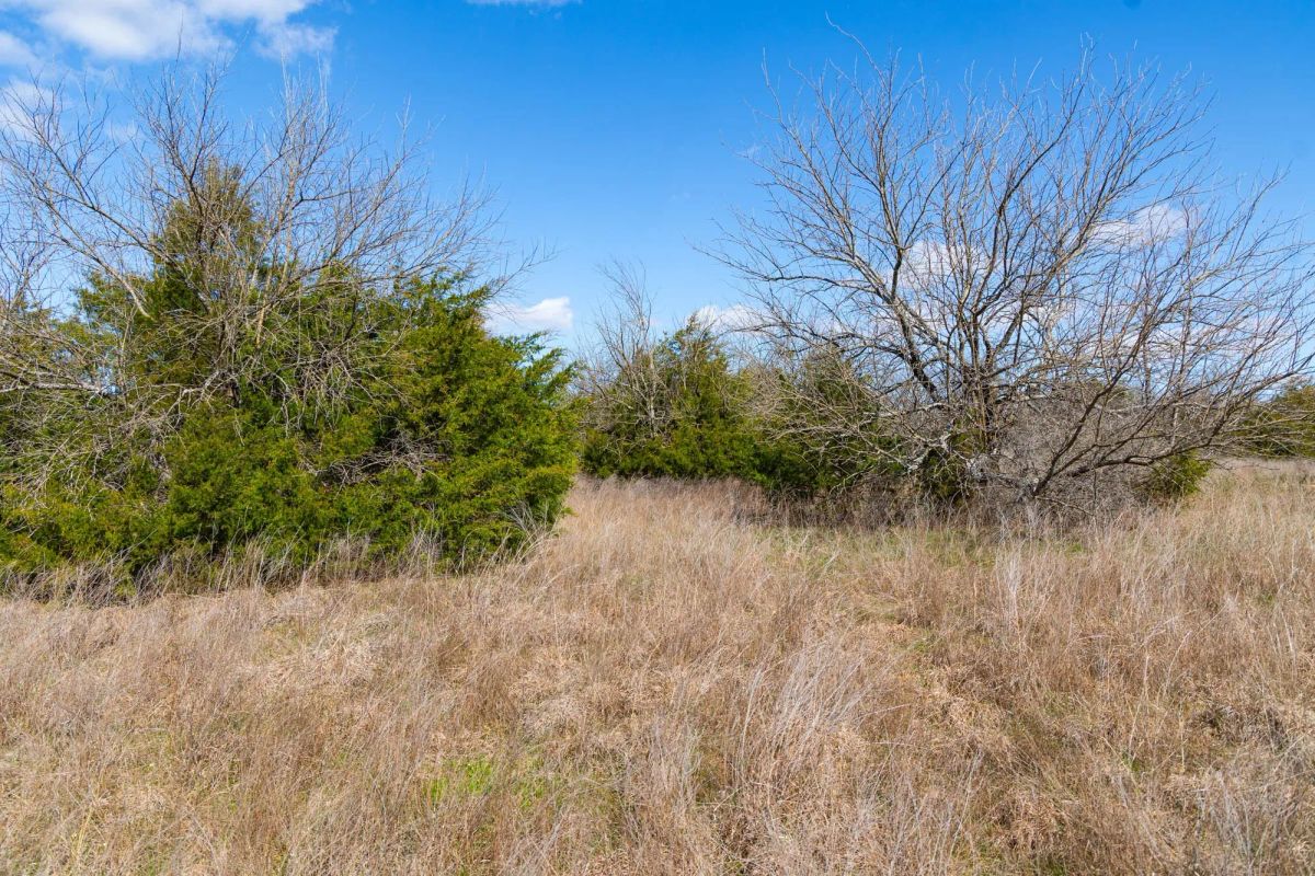 Decorative background for Reserves At Cattail Cove Phase I Tract 28 image 6