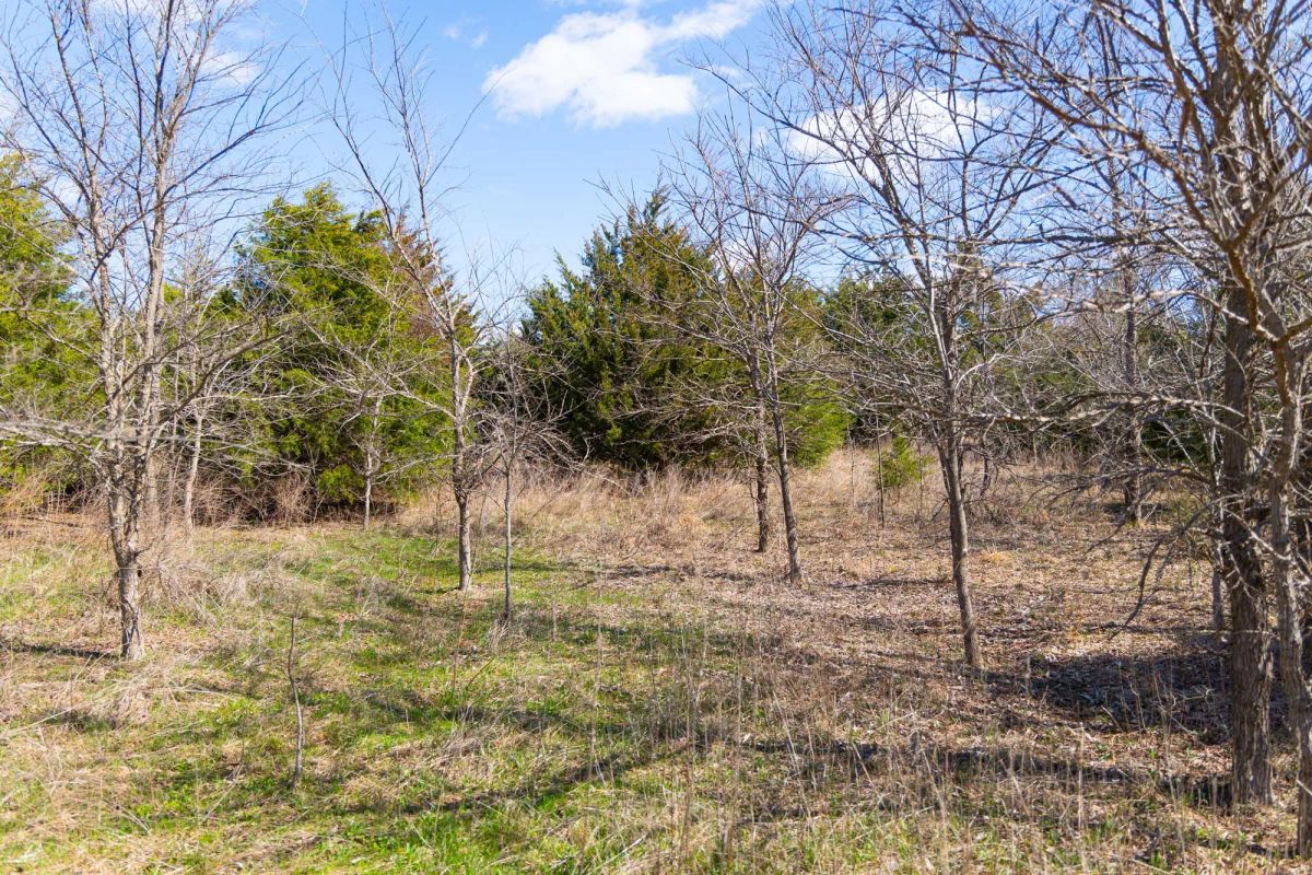 Decorative background for Reserves At Cattail Cove Phase I Tract 28 image 7