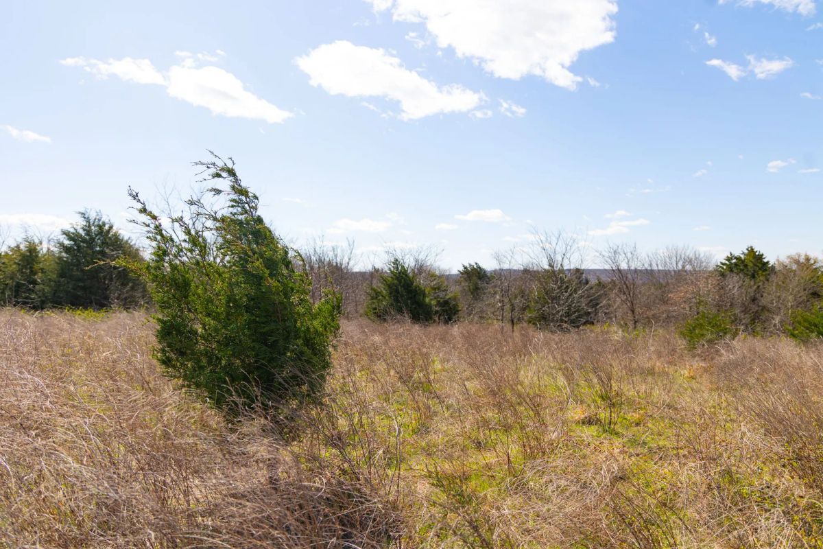 Decorative background for Reserves At Cattail Cove Phase I Tract 28 image 8