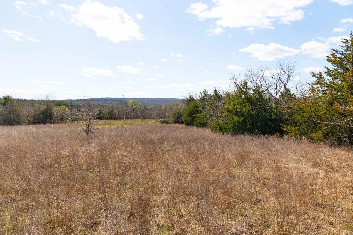 Decorative background for Reserves At Cattail Cove Phase I Tract 28 image 9
