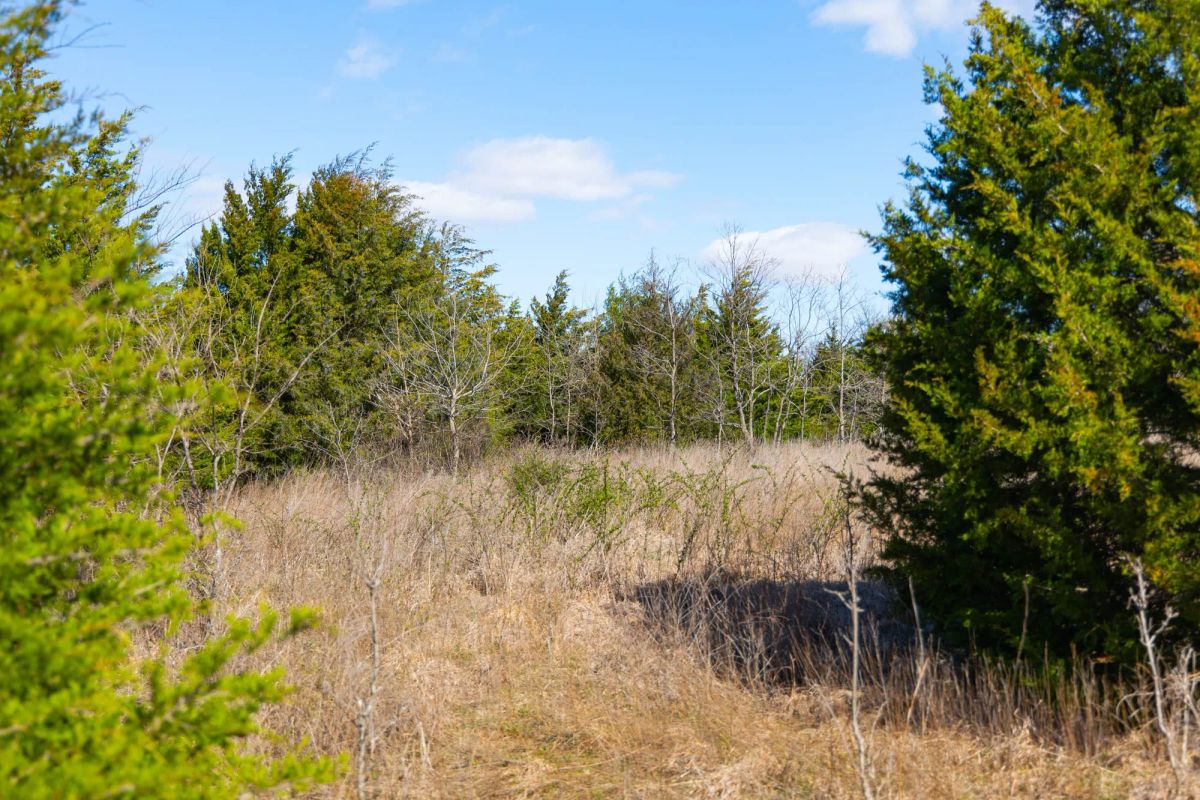 Decorative background for Reserves At Cattail Cove Phase I Tract 28 image 10