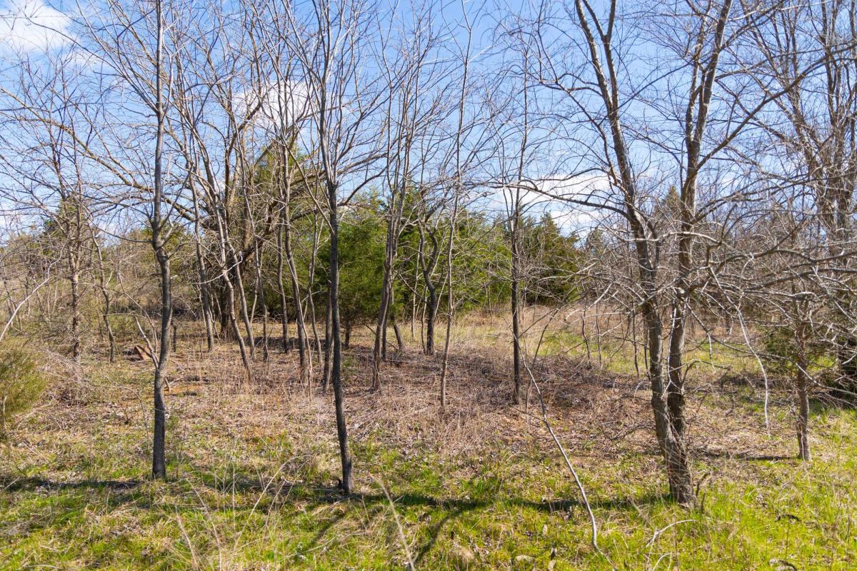 Decorative background for Reserves At Cattail Cove Phase I Tract 28 image 11