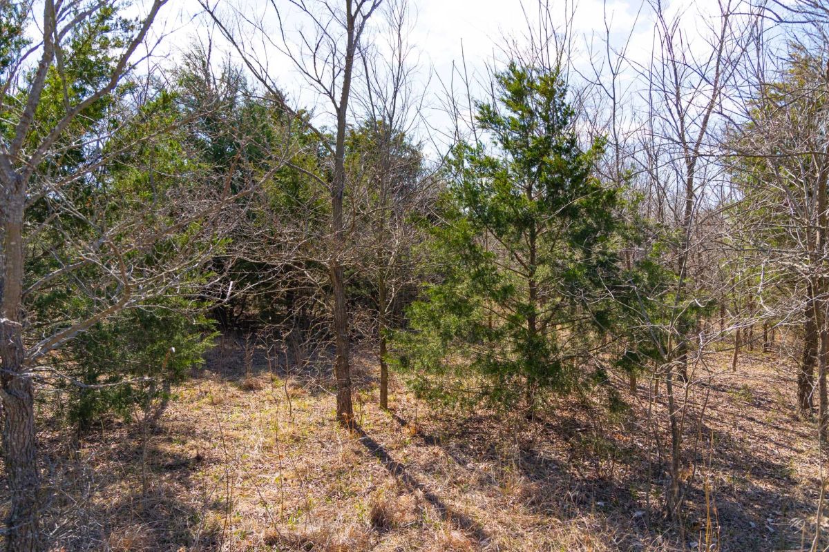 Decorative background for Reserves At Cattail Cove Phase I Tract 28 image 12