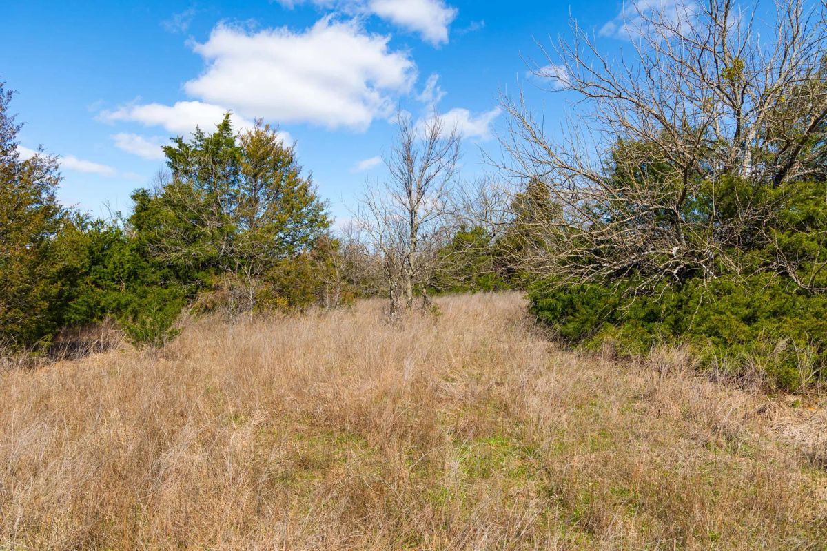 Decorative background for Reserves At Cattail Cove Phase I Tract 28 image 13