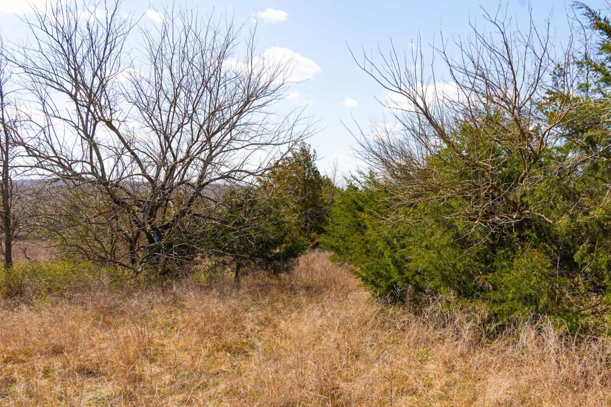 Decorative background for Reserves At Cattail Cove Phase I Tract 28 image 14