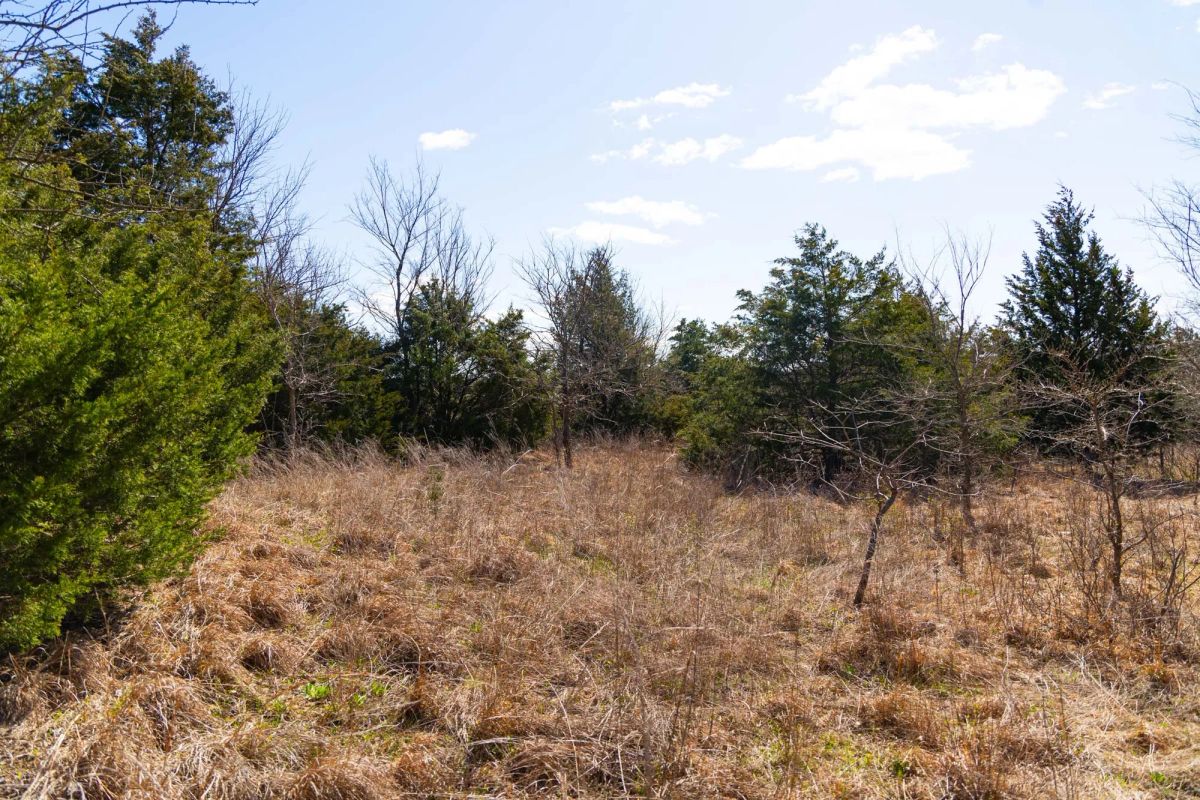 Decorative background for Reserves At Cattail Cove Phase I Tract 28 image 15