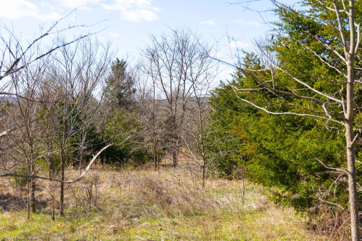 Decorative background for Reserves At Cattail Cove Phase I Tract 28 image 16
