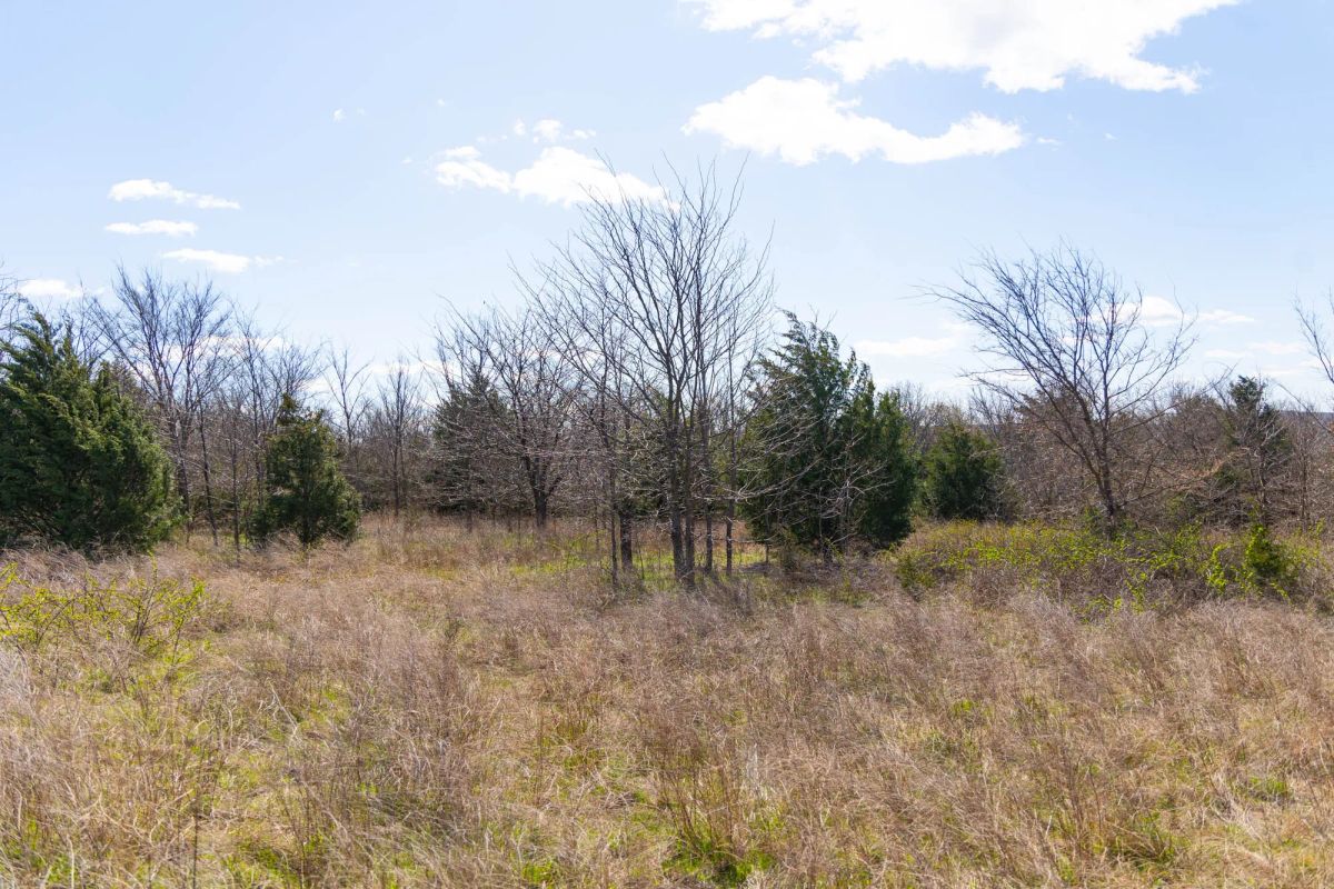 Decorative background for Reserves At Cattail Cove Phase I Tract 28 image 17