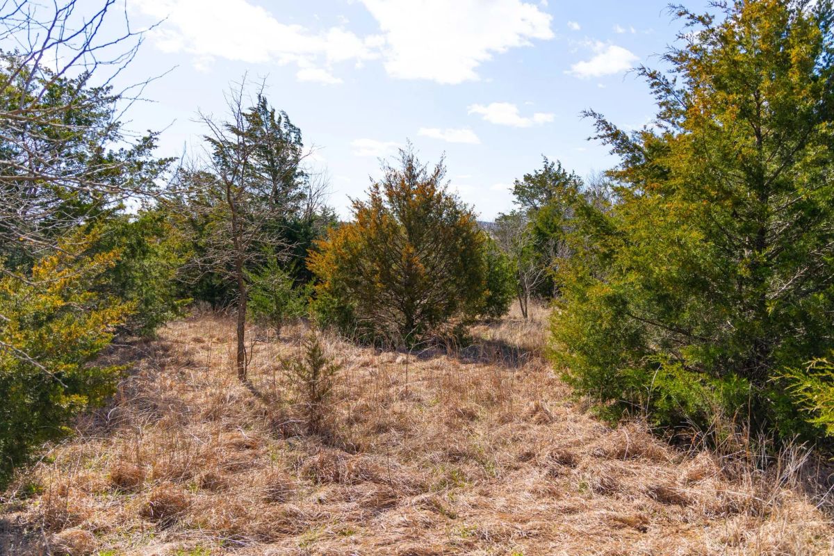 Decorative background for Reserves At Cattail Cove Phase I Tract 28 image 18