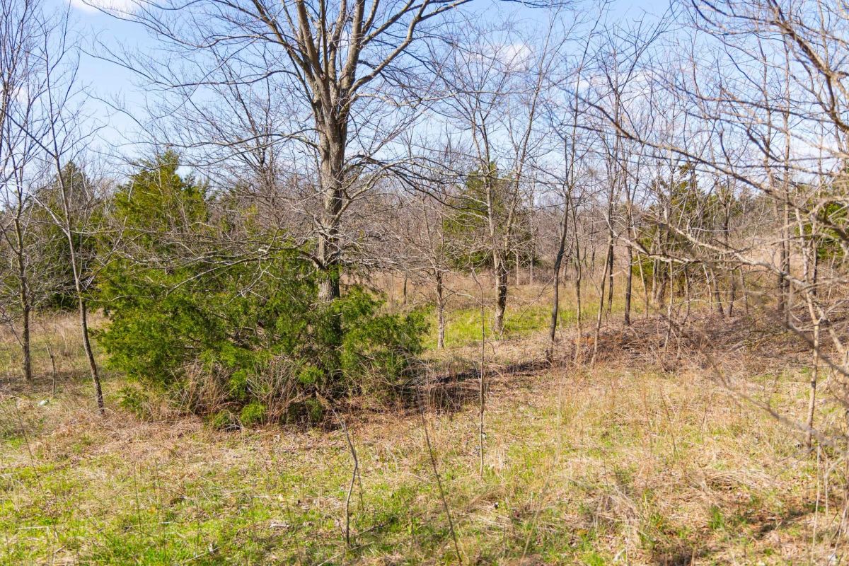 Decorative background for Reserves At Cattail Cove Phase I Tract 28 image 19