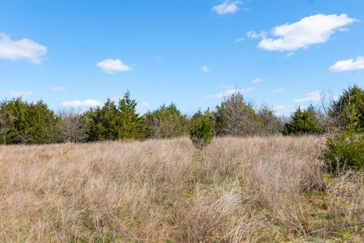 Decorative background for Reserves At Cattail Cove Phase I Tract 28 image 20