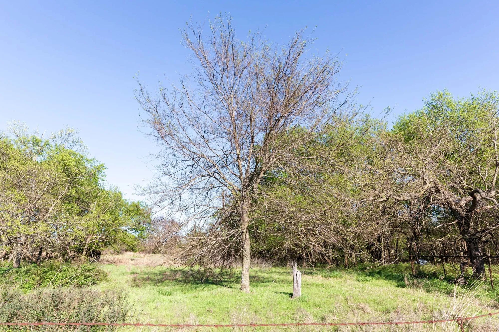 Prairie Grove Tract 3 in Okfuskee County, OK