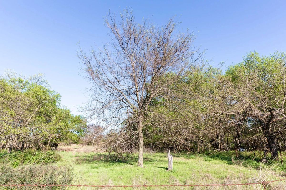 Prairie Grove Tract 3 - Image 3
