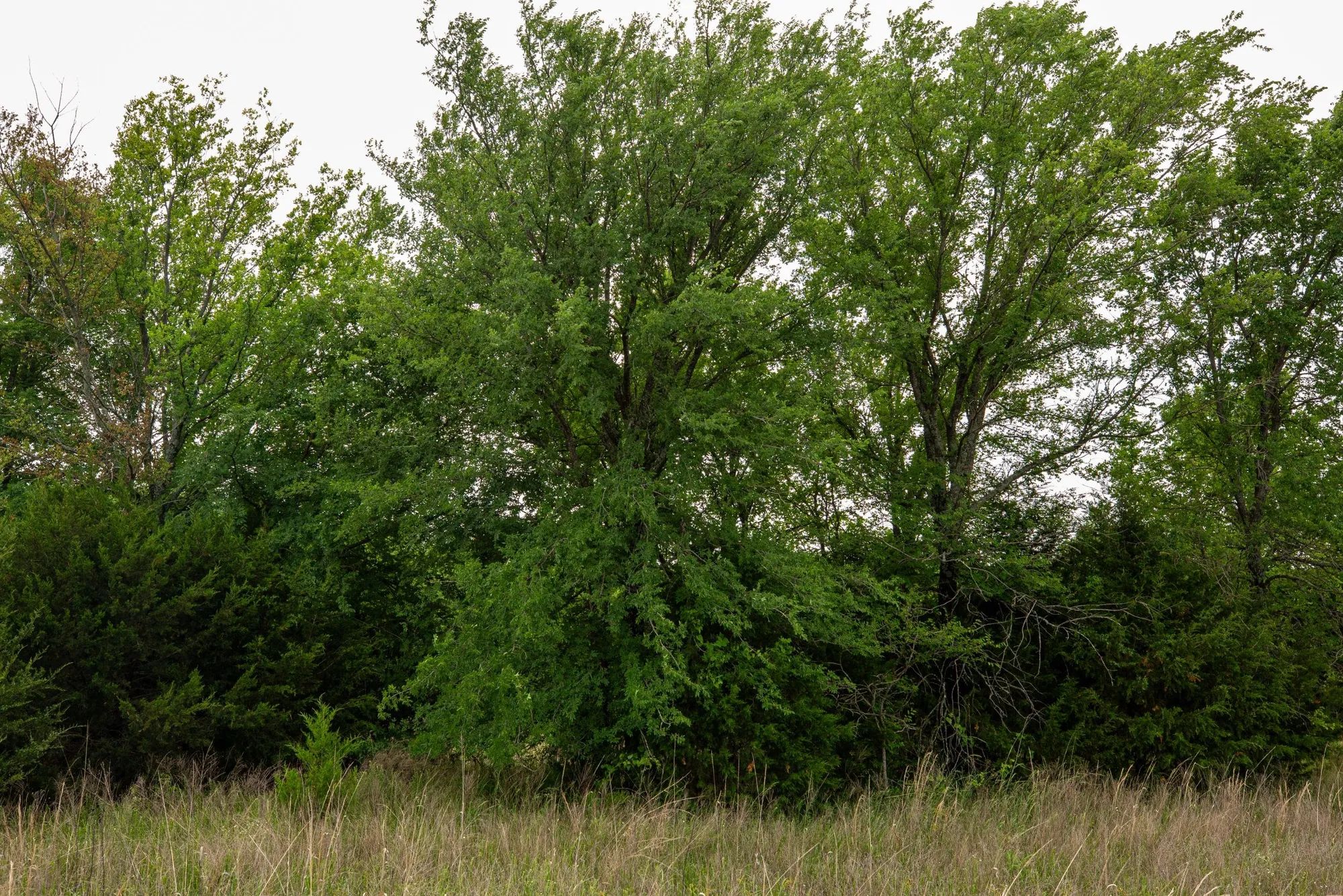 Prairie Grove Tract 3 in Okfuskee County, OK