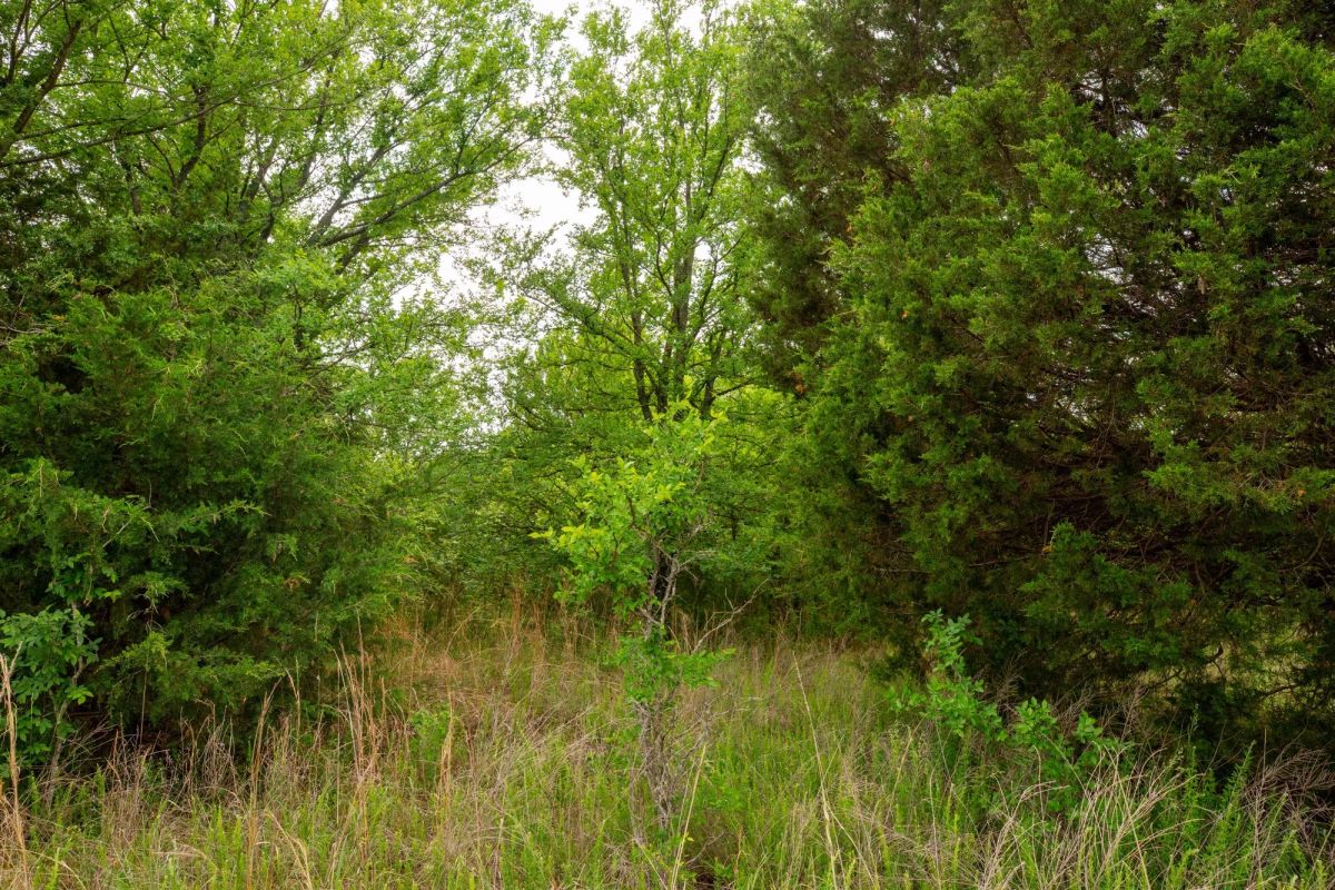 Decorative background for Prairie Grove Tract 3 image 7