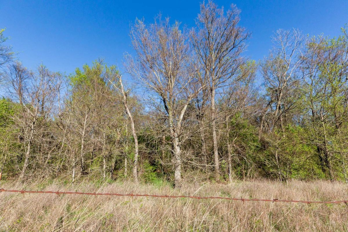 Decorative background for Prairie Grove Tract 3 image 10