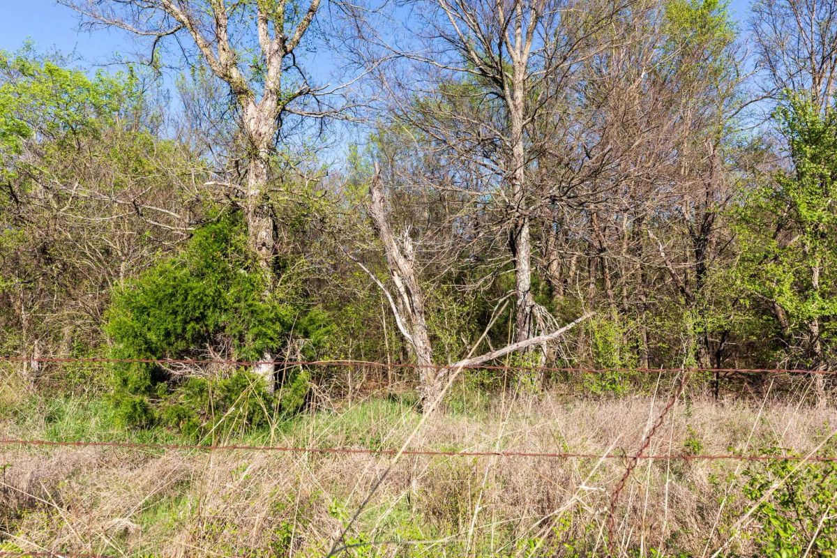 Decorative background for Prairie Grove Tract 3 image 11